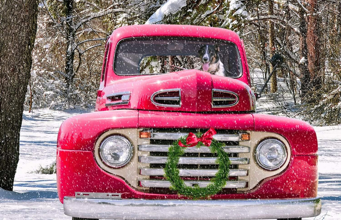 Looking Back at 2019 - Wimberley Puzzle Company