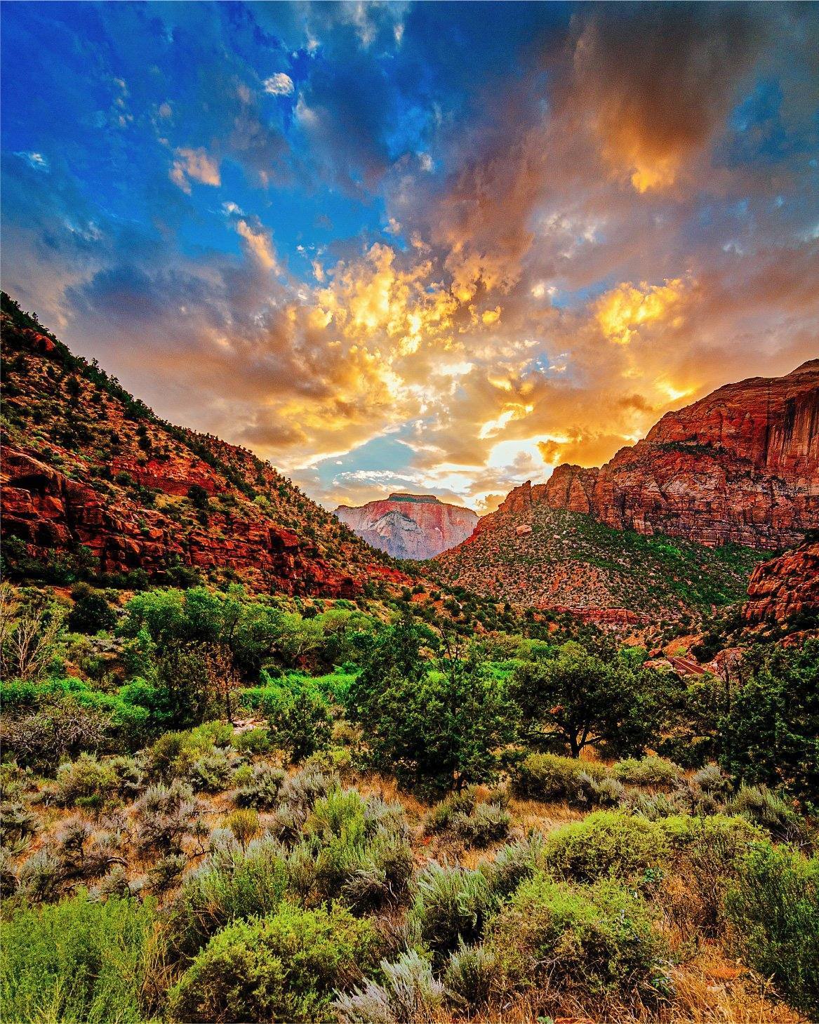 Zion National Park Puzzles | 250, 500, 1000 Piece Puzzles - Wimberley Puzzle Company