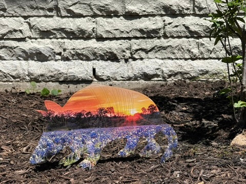Tucker the Armadillo | StoryGarden Critter