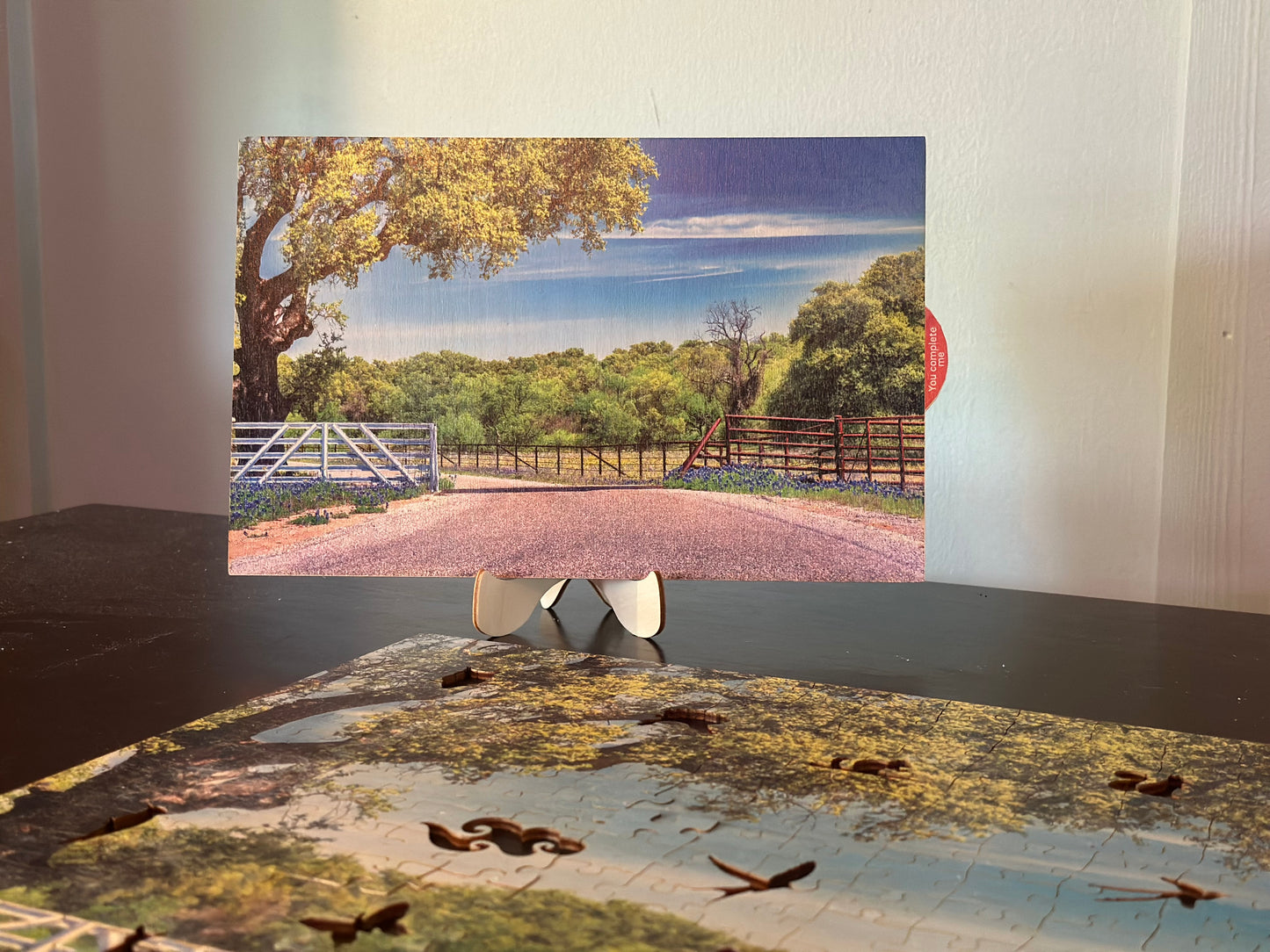 Willow City Loop | Country Puzzle | 250, 500, 1000 Pieces