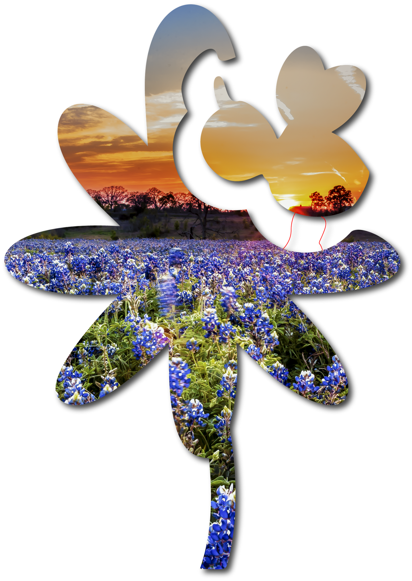 Buzz & Bloom | StoryGarden Critter Duo