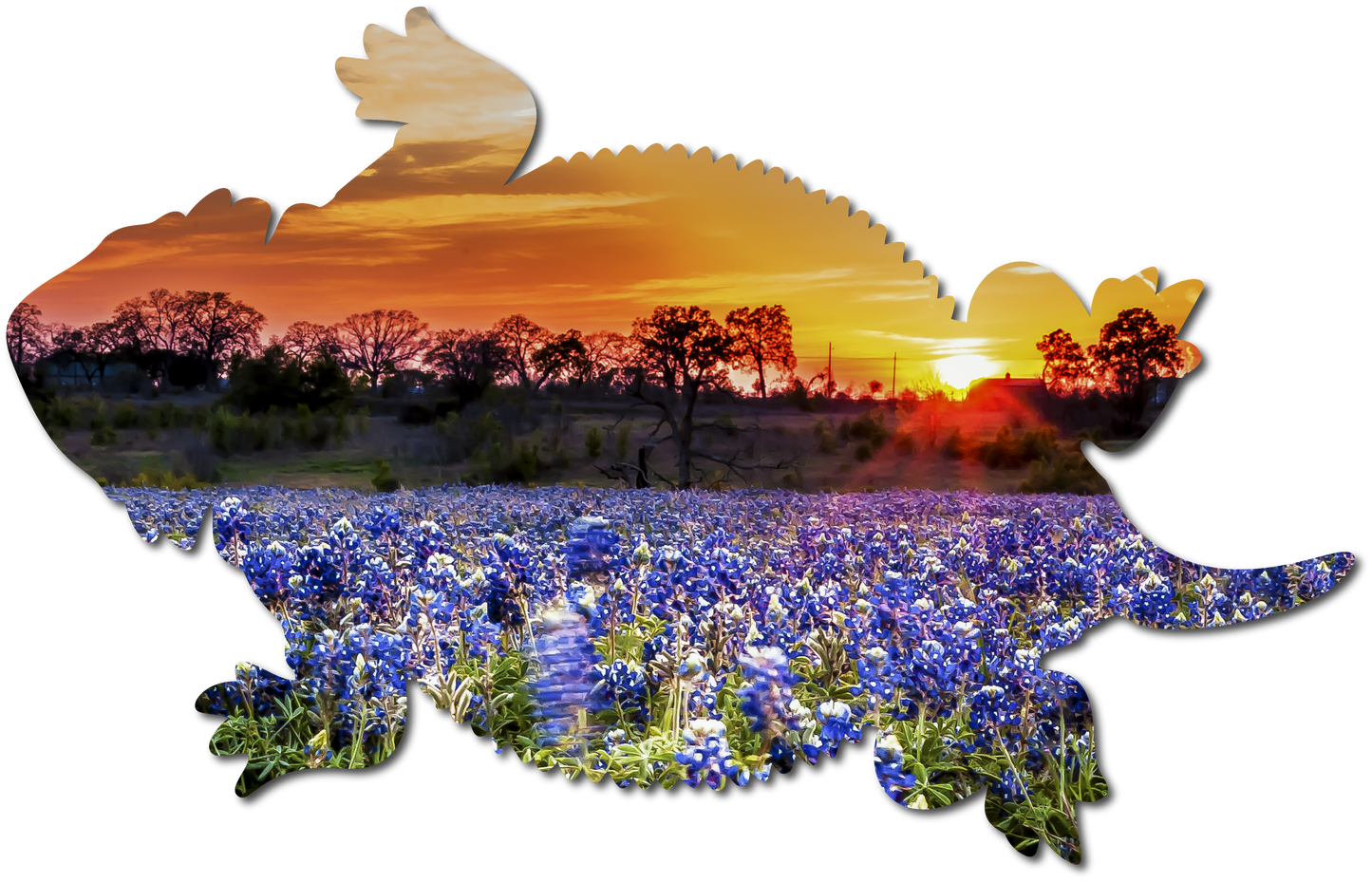 Dusty the Horned Lizard | StoryGarden Critter