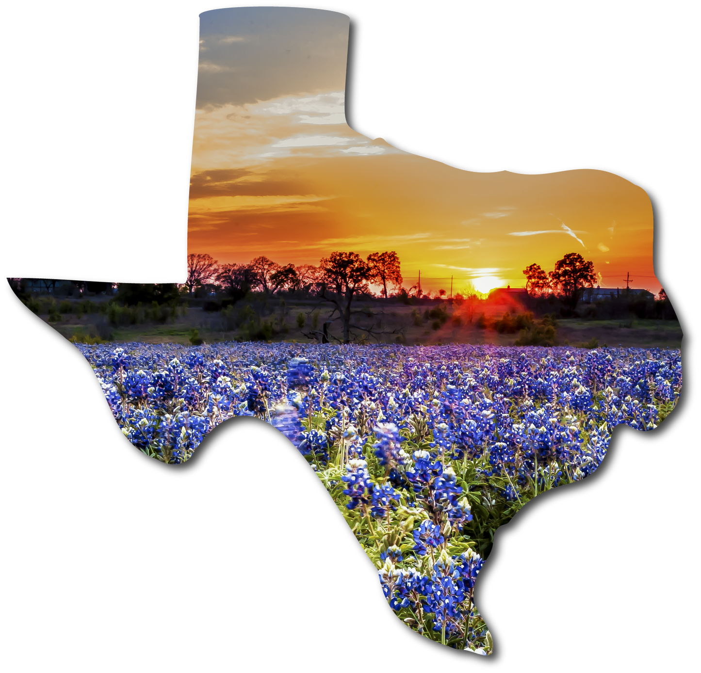 Texas | StoryGarden Silhouette