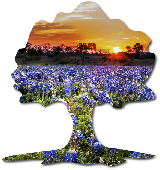 The Oak | StoryGarden Cutout