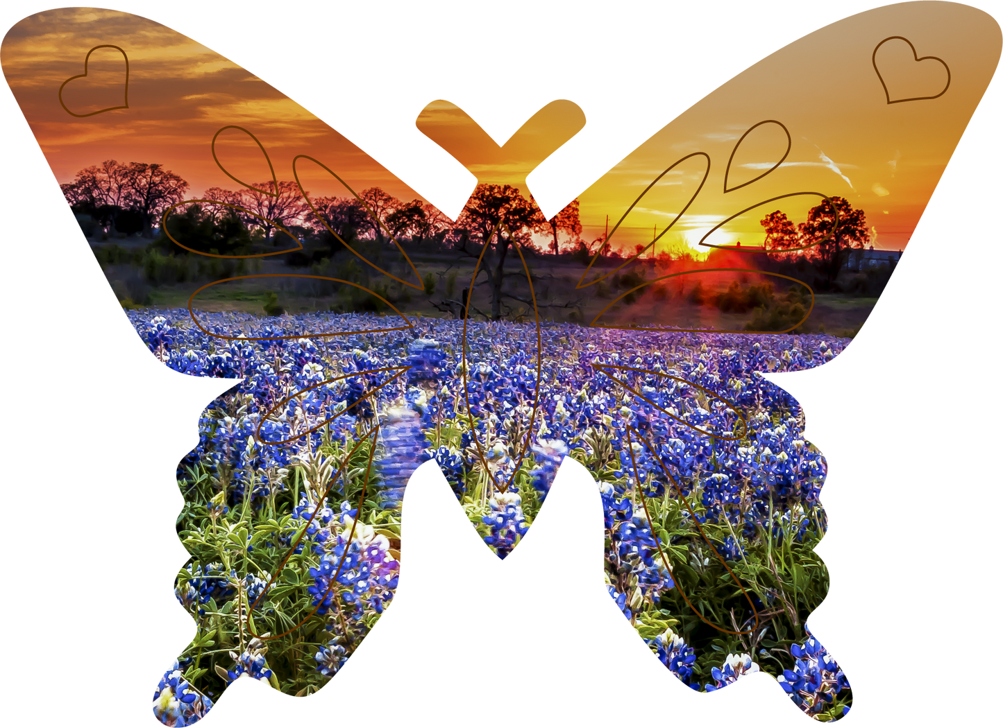 Mariposa the Butterfly | StoryGarden Critter