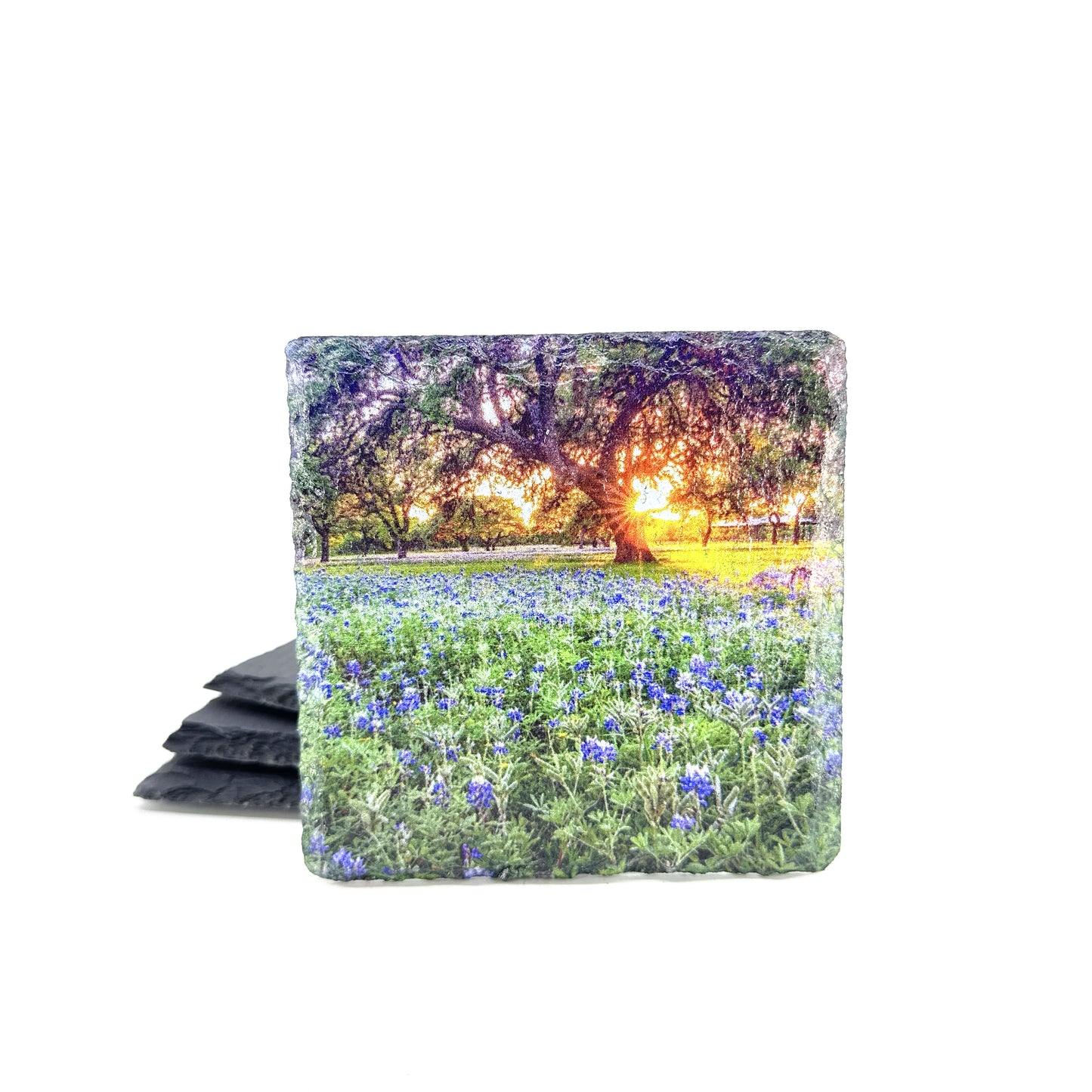 Johnson City Bluebonnet Sunset, Black Slate Coaster Set of 4