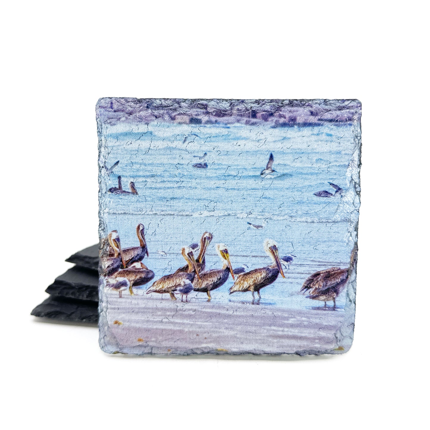 Coastal Coasters, Pelicans, Black Slate Coaster Set of 4