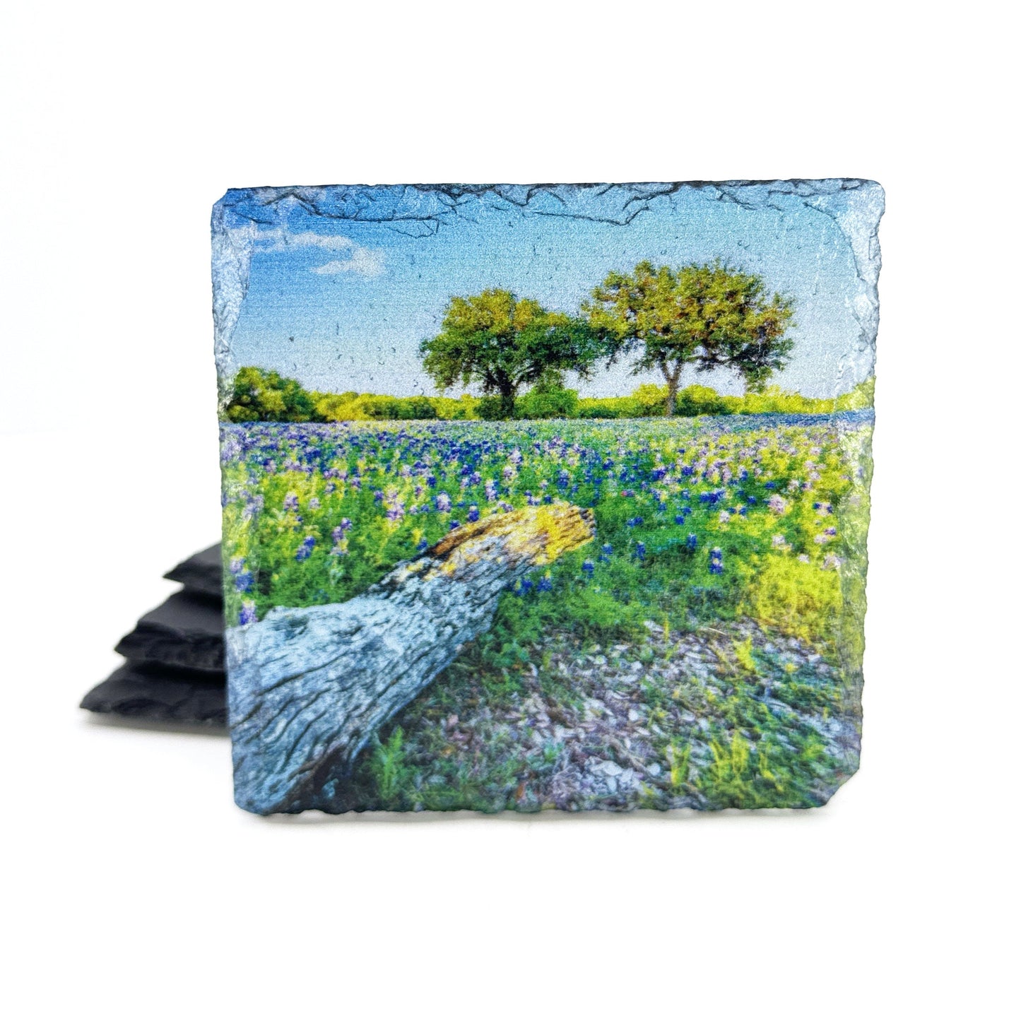 Johnson City Bluebonnets, Black Slate Coaster Set of 4
