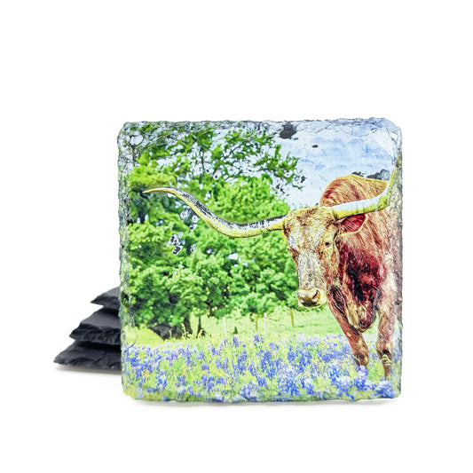 Texas Longhorn and Bluebonnets, Black Slate Coaster Set of 4