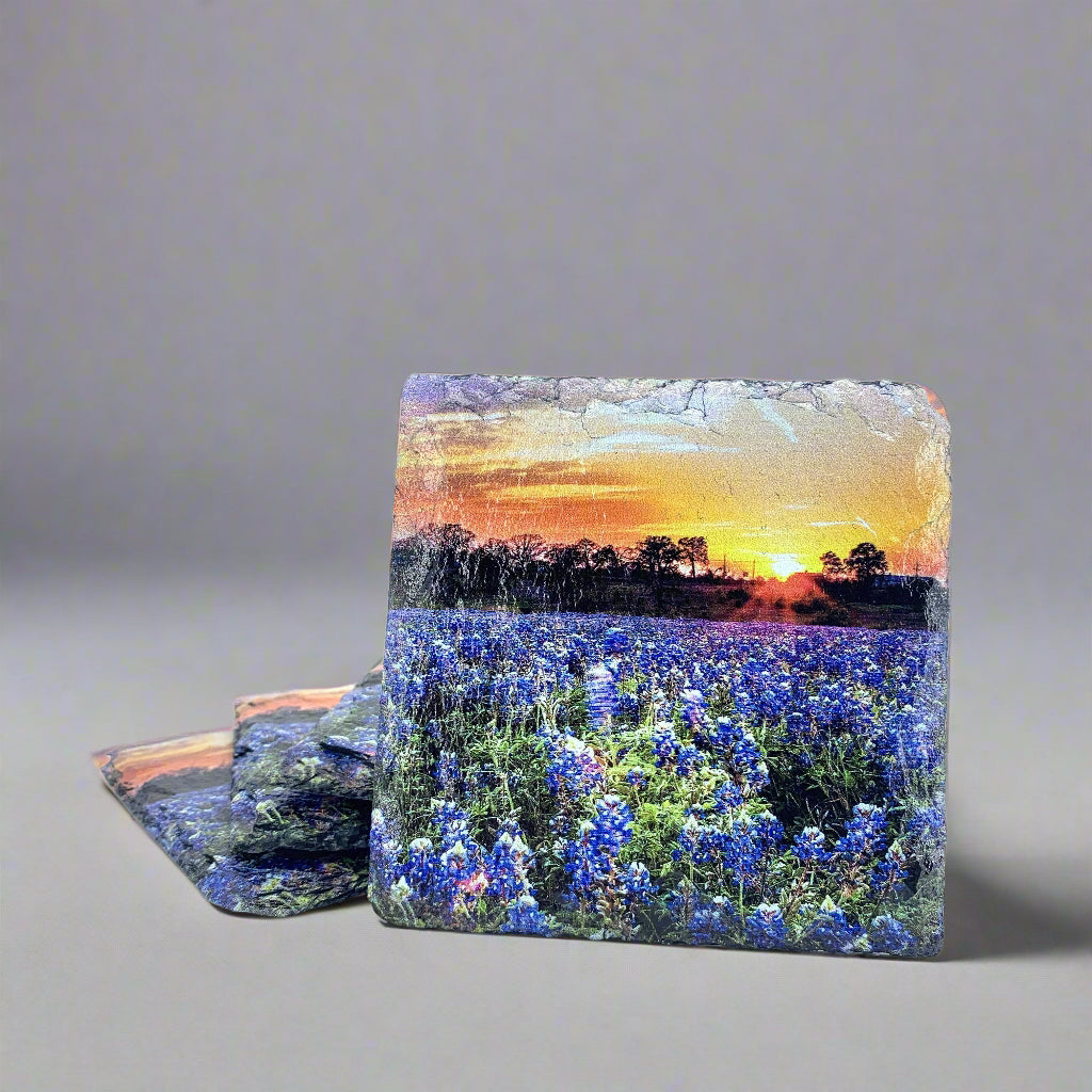 Bluebonnet Sunset, Black Slate Coaster Set of 4