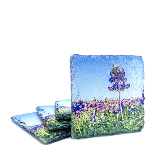 Lone Bluebonnet, Black Slate Coaster Set of 4