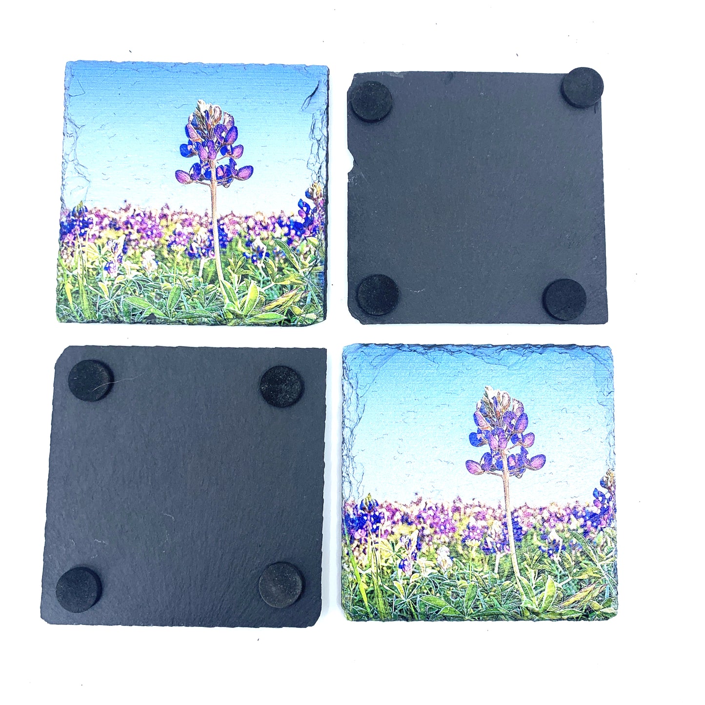 Lone Bluebonnet, Black Slate Coaster Set of 4