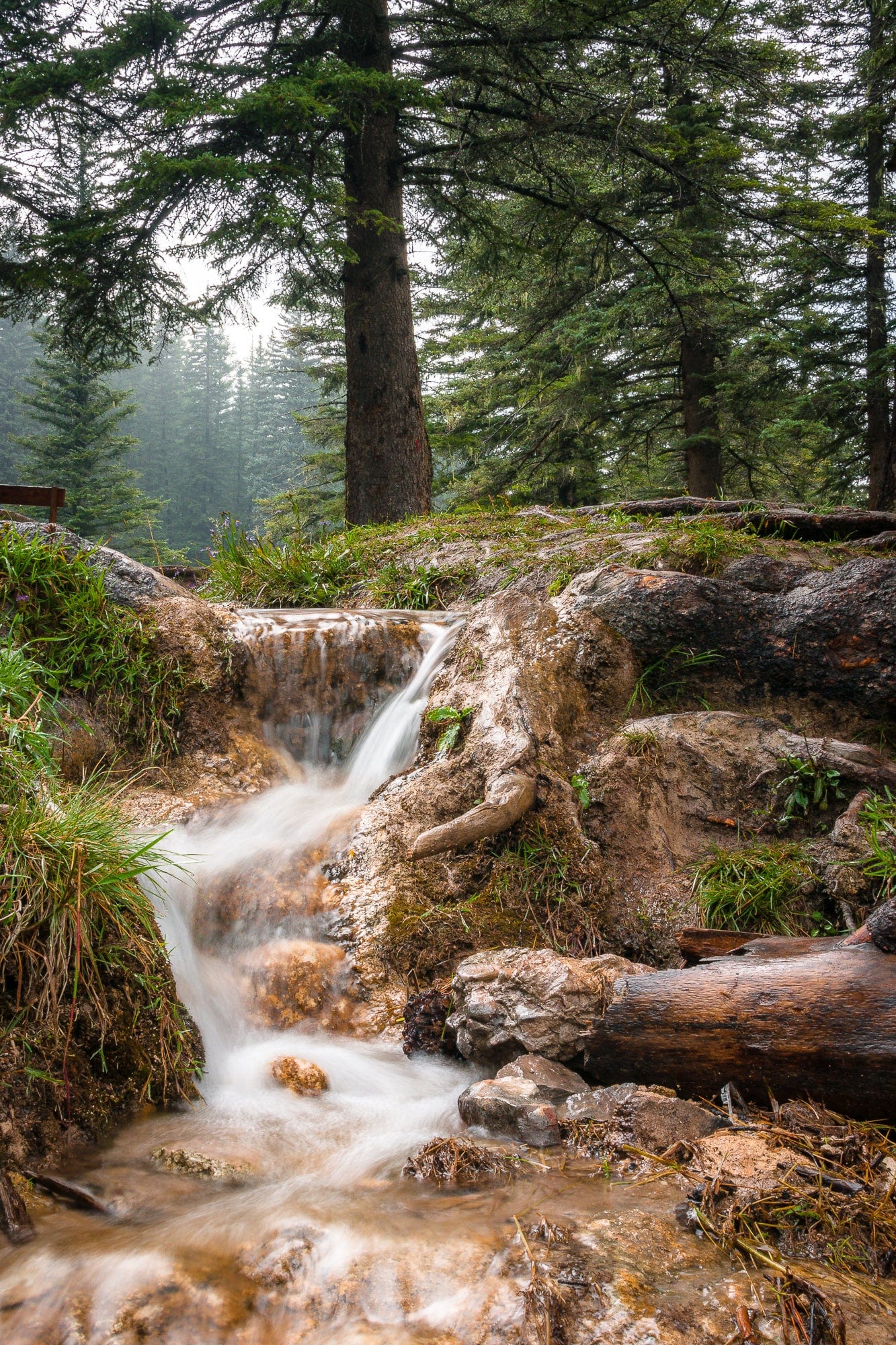 Bluff Springs Waterfall | New Mexico Puzzle | 250, 500, 1000 Pieces
