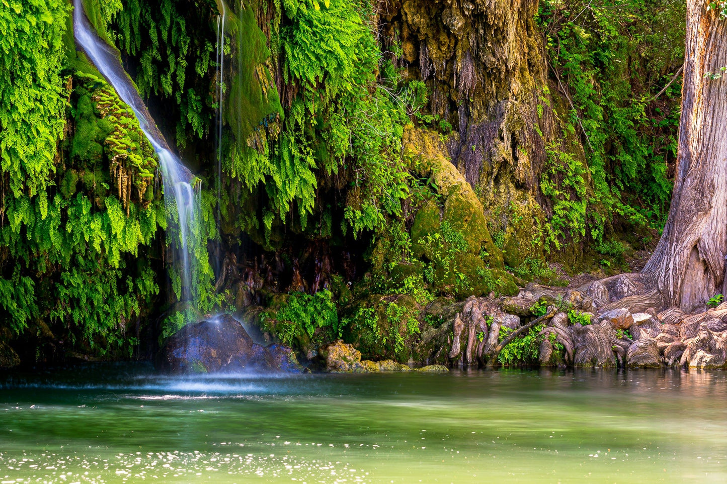 Krause Springs, The Swimming Hole | Waterfall Puzzle | 250, 500, 1000 Pieces