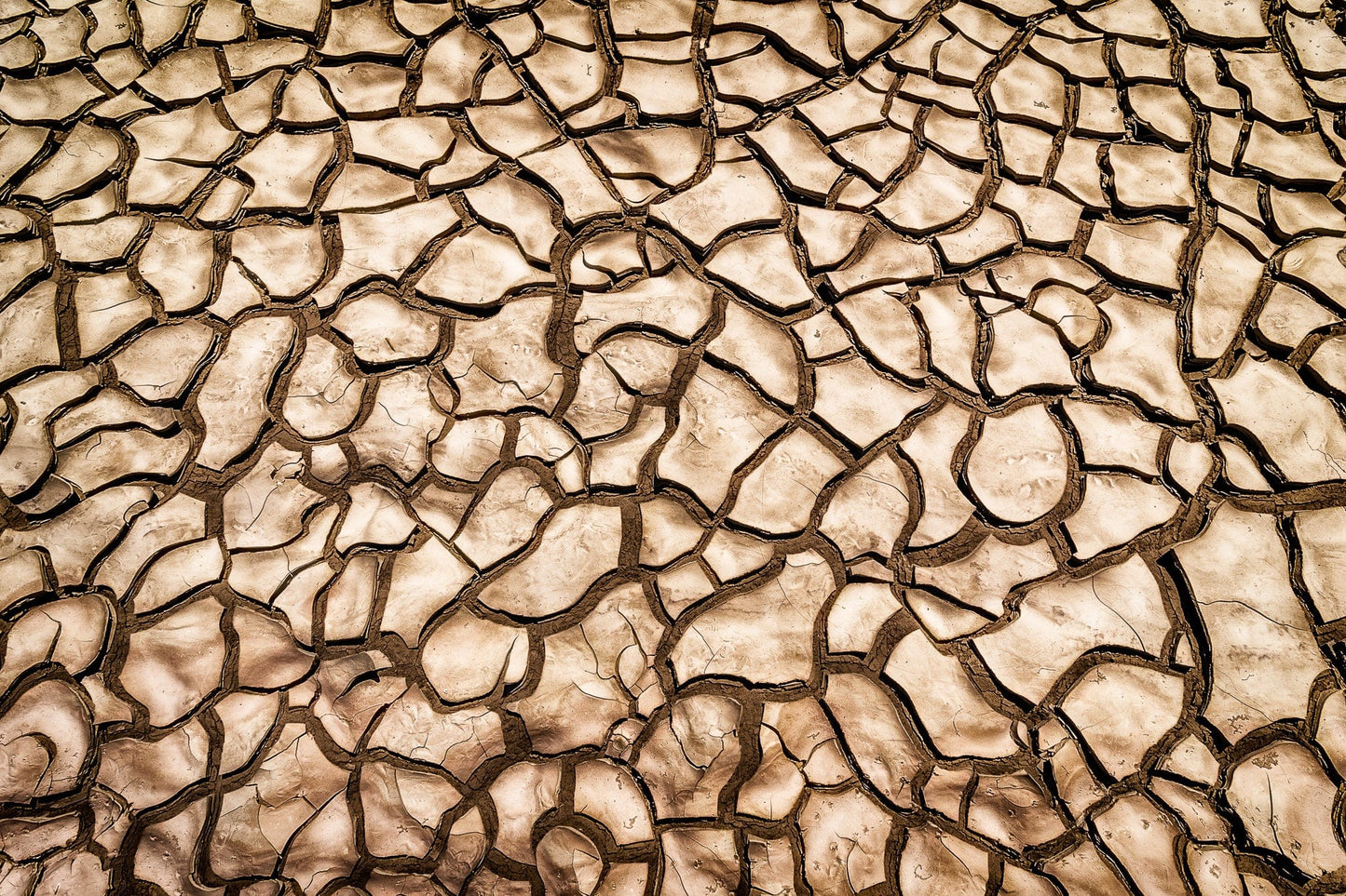 Parched Earth | National Parks Puzzle | 250, 500, 1000 Pieces