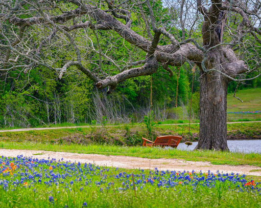 Spring Swing | Country Puzzle | 250, 500, 1000 Pieces