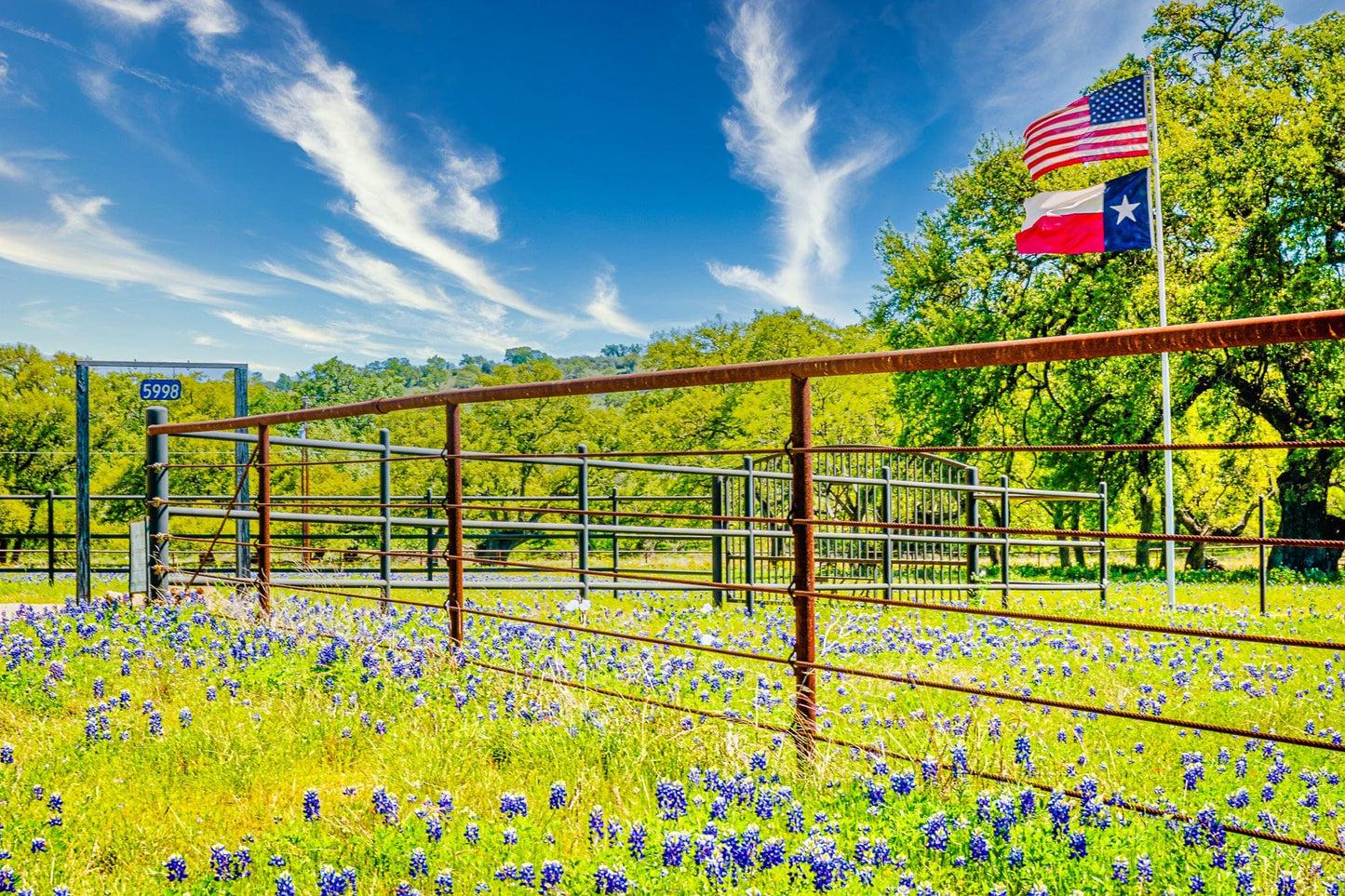 Texas, Our Texas | Country Puzzle | 250, 500, 1000 Pieces