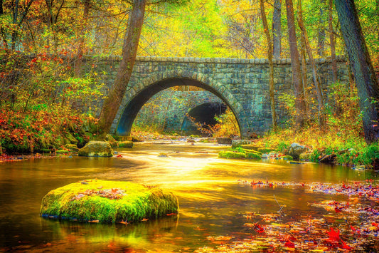 Time is but a Stream | National Parks Puzzle | 250, 500, 1000 Pieces