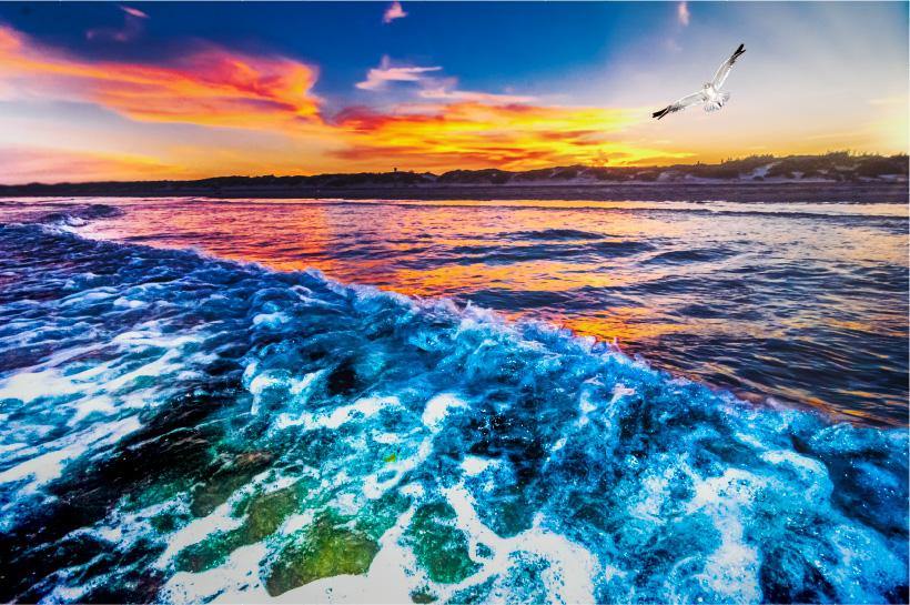 Turn the Tide | National Park Beach Sunset Puzzle | 250, 500, 1000 Pieces