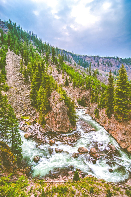 Yellowstone River | Yellowstone National Park Puzzle | 250, 500, 1000 Pieces