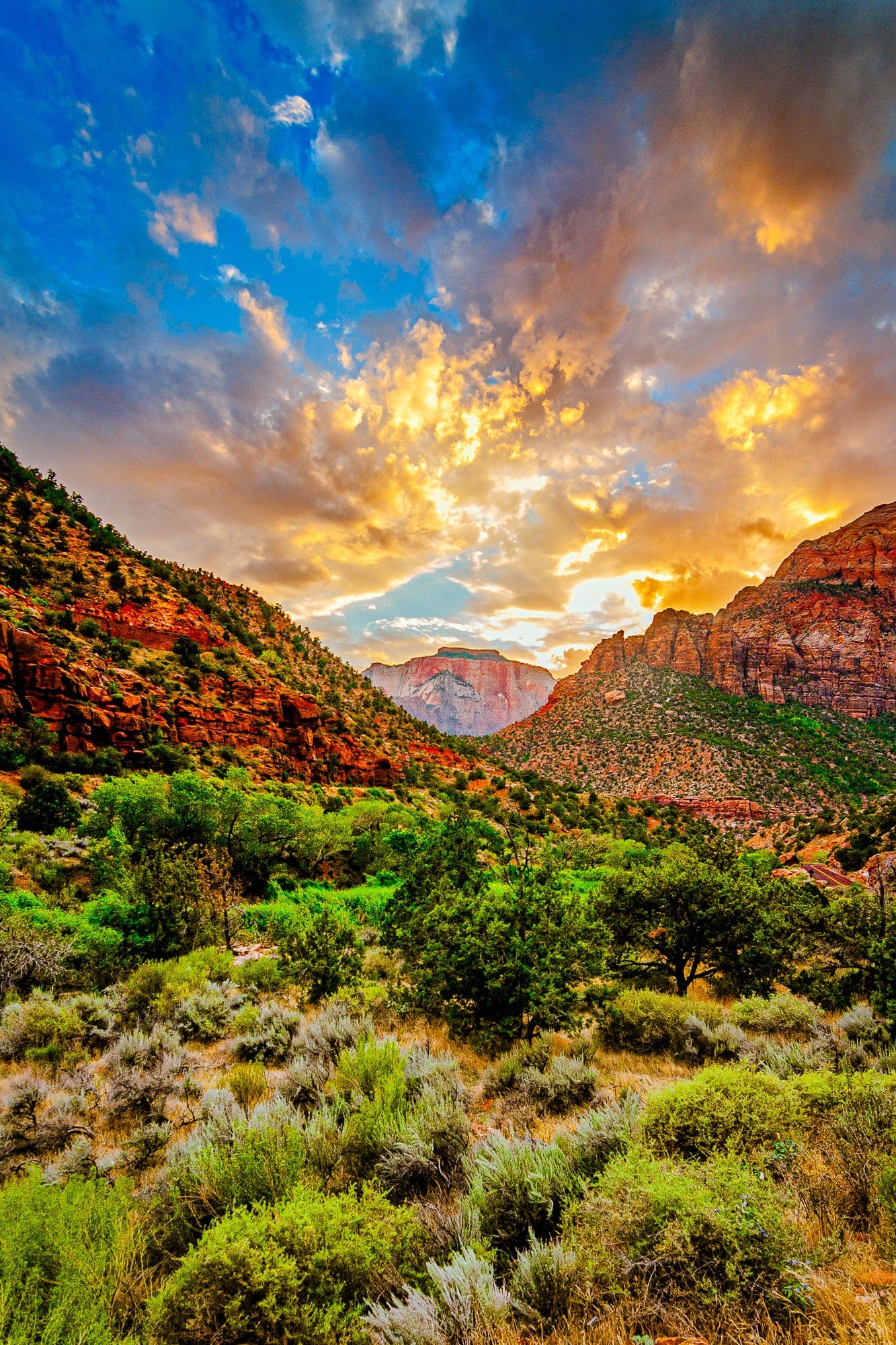 Zion, Golden Hour - National Parks Puzzle | 250, 500, 1000 Pieces