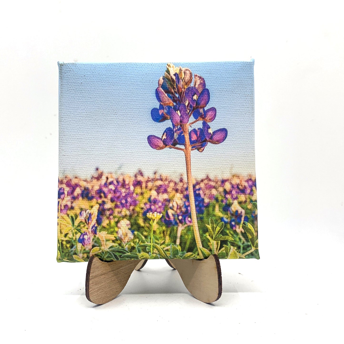 Wimberley Puzzle Company Canvas Print The Bluebonnet | 4x4" Mini Canvas Art Print