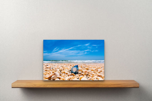 Wimberley Puzzle Company Posters, Prints, & Visual Artwork 10x15" Big Shell Beach Man O'War, Texas, Padre Island National Seashore Wood Art and Postcards