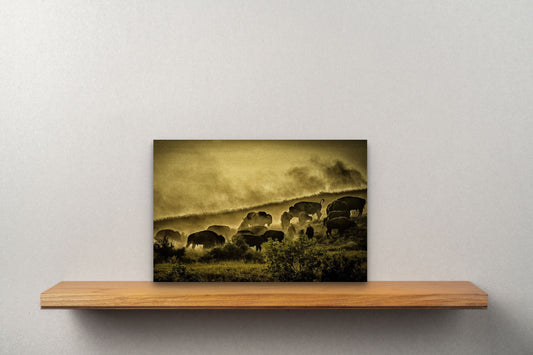 Wimberley Puzzle Company Posters, Prints, & Visual Artwork 10x15" Buffalos, Roosevelt National Park, North Dakota Wooden Art and Postcards