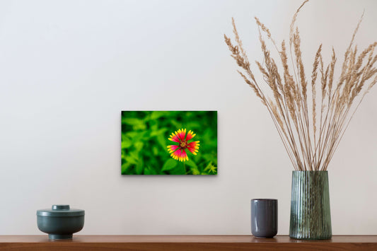 Wimberley Puzzle Company Posters, Prints, & Visual Artwork 10x15" Firewheel, Mckinney Falls State Park, Texas Wooden Art and Postcards