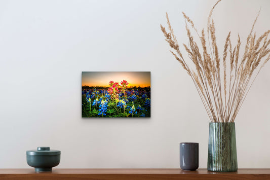 Wimberley Puzzle Company Posters, Prints, & Visual Artwork 10x15" Indian Paintbrush Delight, Texas Wildflower Wooden Art and Postcards