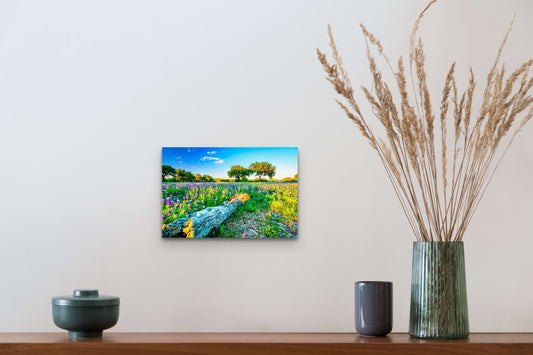 Wimberley Puzzle Company Posters, Prints, & Visual Artwork 10x15" Johnson City Bluebonnets, Texas Wooden Art and Postcards