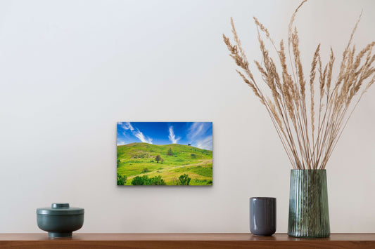 Wimberley Puzzle Company Posters, Prints, & Visual Artwork 10x15" Lone Buffalo, Roosevelt National Park, North Dakota Wooden Art and Postcards