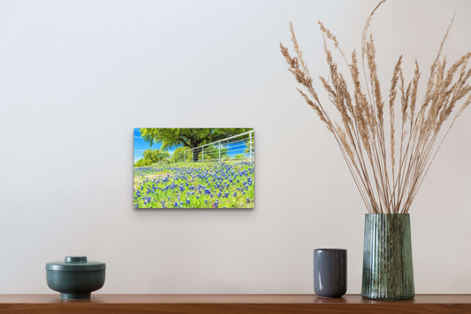 Wimberley Puzzle Company Posters, Prints, & Visual Artwork 10x15" Roadside Bluebonnets, Texas Wildflower Wooden Art and Postcards