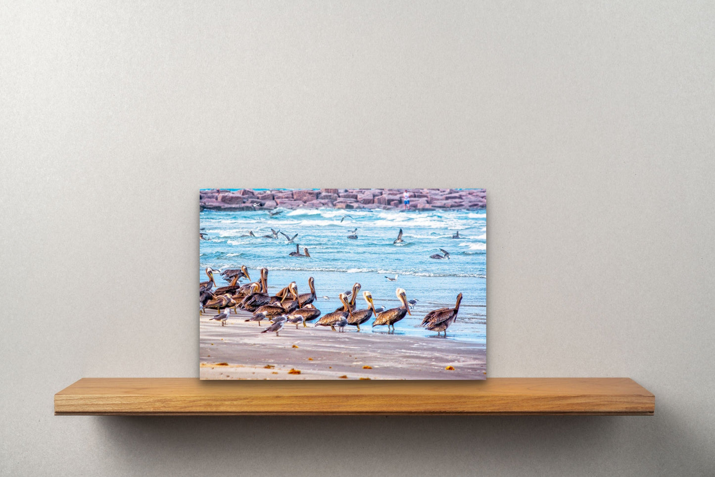 Wimberley Puzzle Company Posters, Prints, & Visual Artwork The Pelicans, Mustang Island State Park, Texas Wooden Art and Postcards