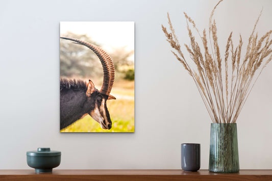 Wimberley Puzzle Company Posters, Prints, & Visual Artwork 16x24" African Sable Antelop, Africa Wildlife Wood Art and Postcards