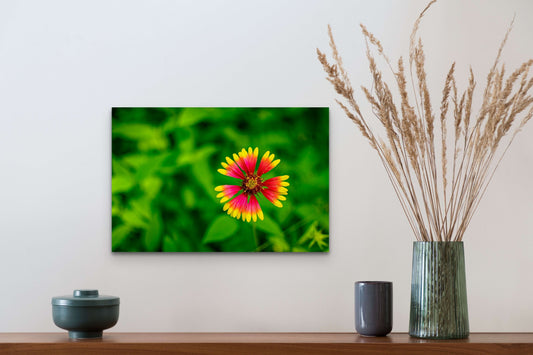 Wimberley Puzzle Company Posters, Prints, & Visual Artwork 16x24" Firewheel, Mckinney Falls State Park, Texas Wooden Art and Postcards