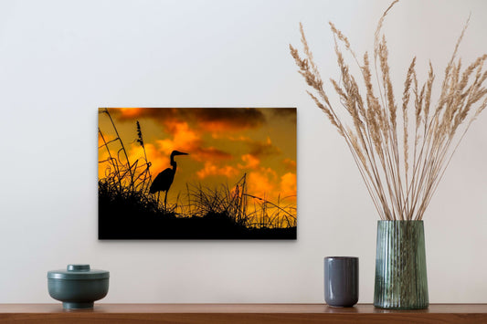 Wimberley Puzzle Company Posters, Prints, & Visual Artwork 16x24" Great Blue Heron, Padre Island National Seashore, Texas Wooden Art and Postcards