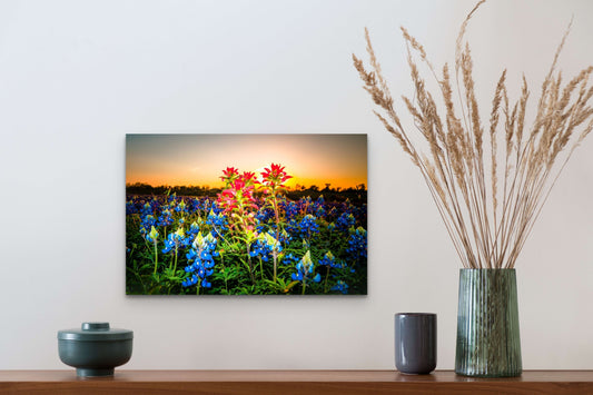 Wimberley Puzzle Company Posters, Prints, & Visual Artwork 16x24" Indian Paintbrush Delight, Texas Wildflower Wooden Art and Postcards