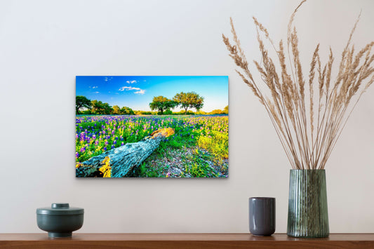 Wimberley Puzzle Company Posters, Prints, & Visual Artwork 16x24" Johnson City Bluebonnets, Texas Wooden Art and Postcards