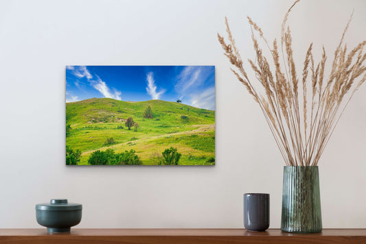 Wimberley Puzzle Company Posters, Prints, & Visual Artwork 16x24" Lone Buffalo, Roosevelt National Park, North Dakota Wooden Art and Postcards