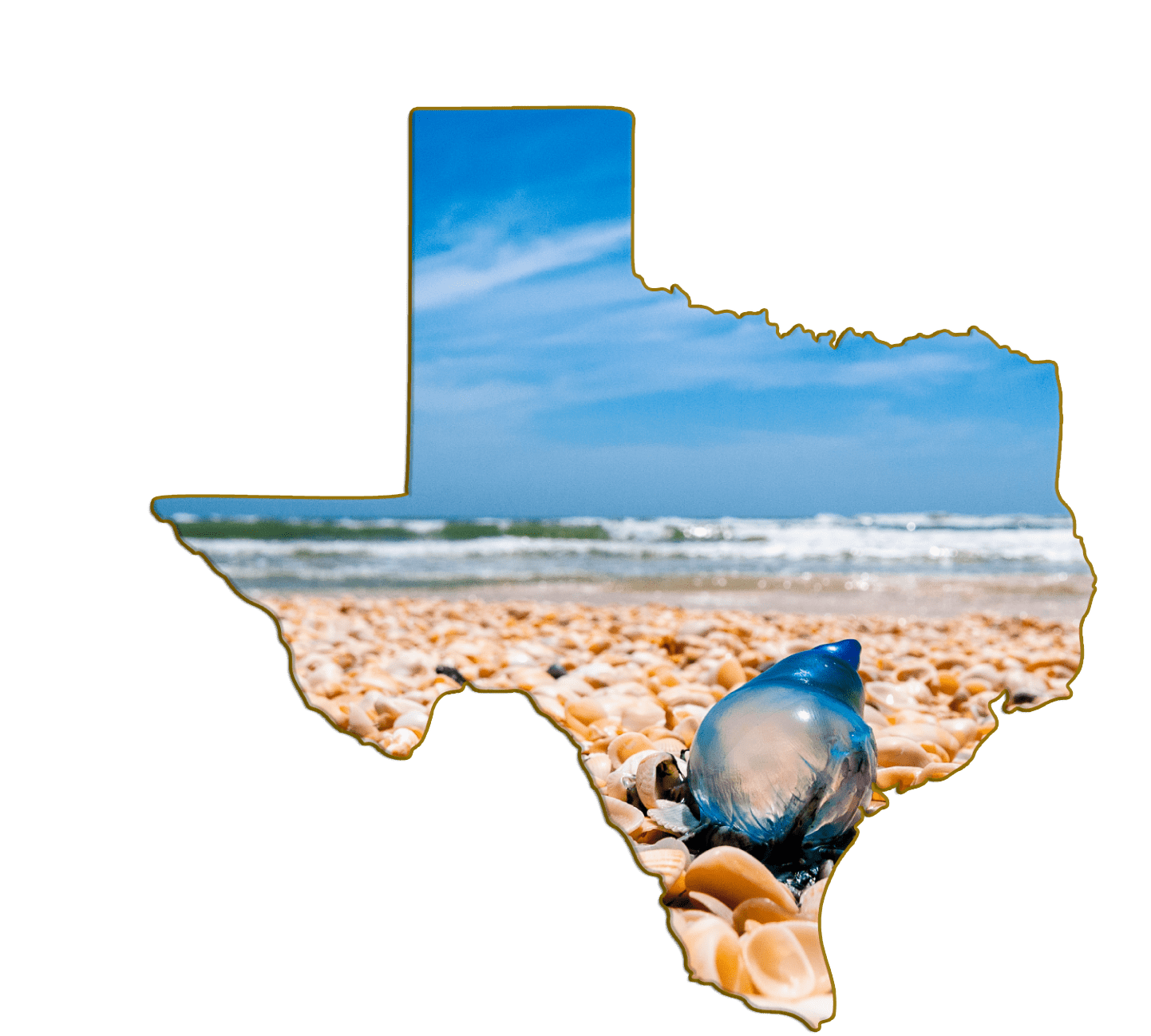 Big Shell Beach | Padre Island | Texas Shaped Magnet