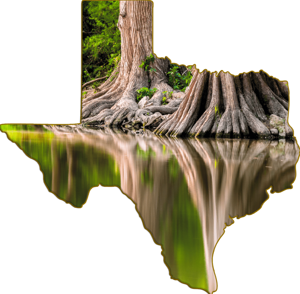 Wimberley Puzzle Company Refrigerator Magnets Cypress Tree Roots, Blanco River | Texas-Shaped Magnet
