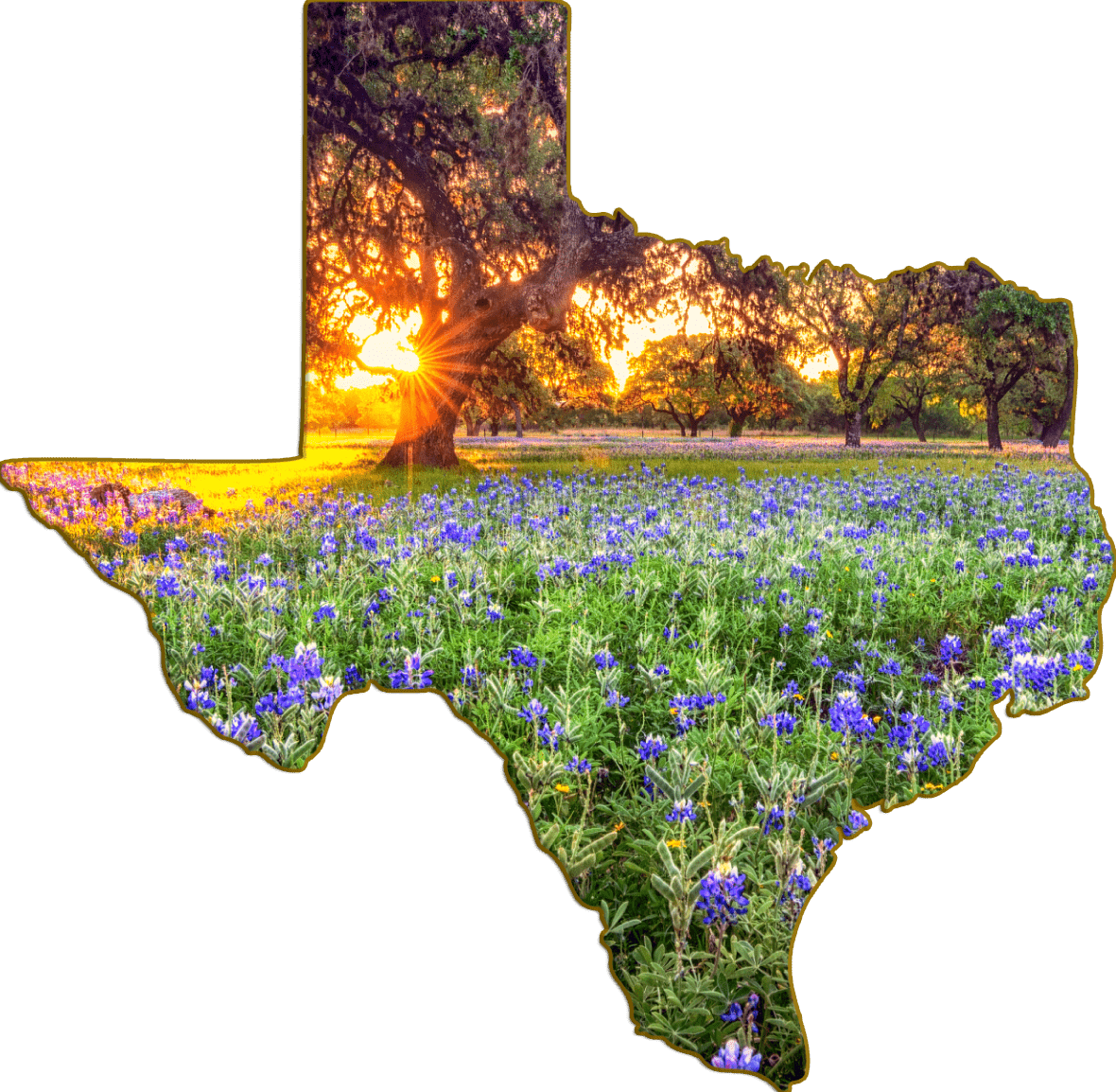 Wimberley Puzzle Company Refrigerator Magnets Johnson City Bluebonnets | Texas-Shaped Magnet