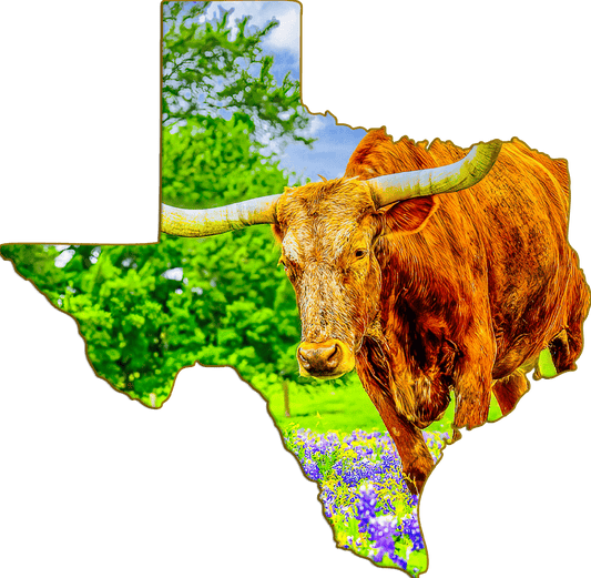 Wimberley Puzzle Company Refrigerator Magnets Texas Longhorn and Bluebonnets | Texas-Shaped Magnet