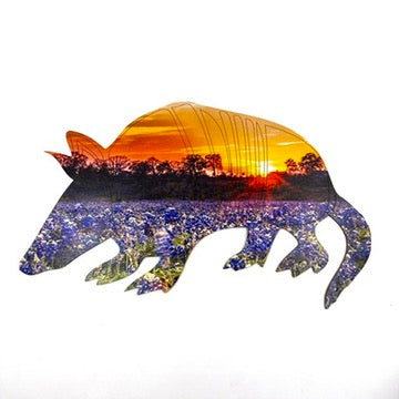 Tucker the Armadillo | StoryGarden Critter