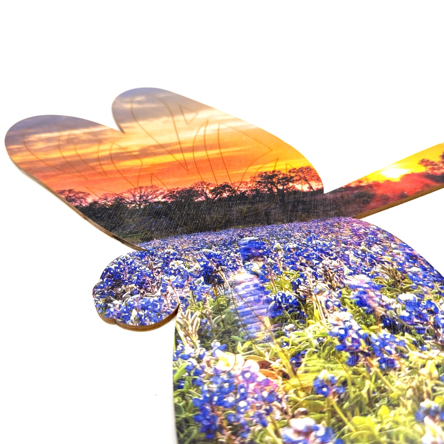 Ember the Dragonfly | StoryGarden Critter