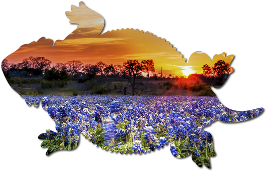 Dusty the Horned Lizard | StoryGarden Critter