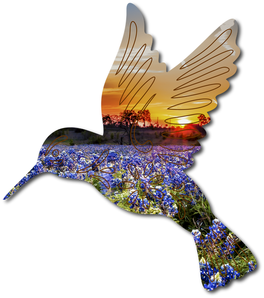 Sol the Hummingbird | StoryGarden Critter