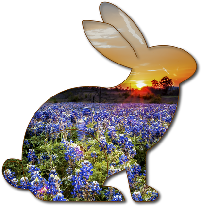 Juno the Jackrabbit| StoryGarden Critter