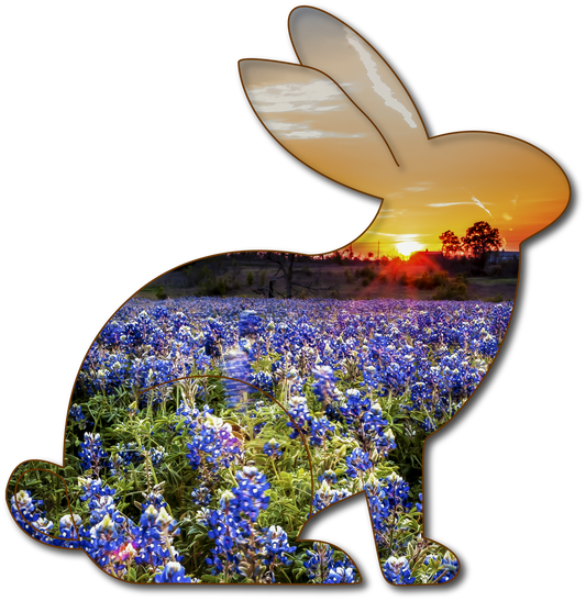 Juno the Jackrabbit| StoryGarden Critter
